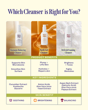 Purify Aloe + Amino Acid Gel Cleanser